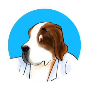 Bernie the St Bernard