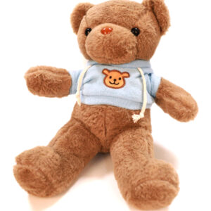 Teddybear - Snowrida